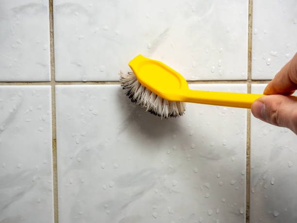 Best Home Mold Removal  in Mount Pleasant, SC