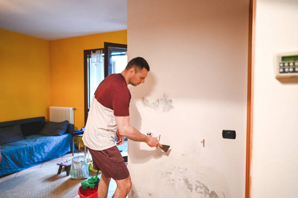 Best Affordable Mold Removal  in Mount Pleasant, SC